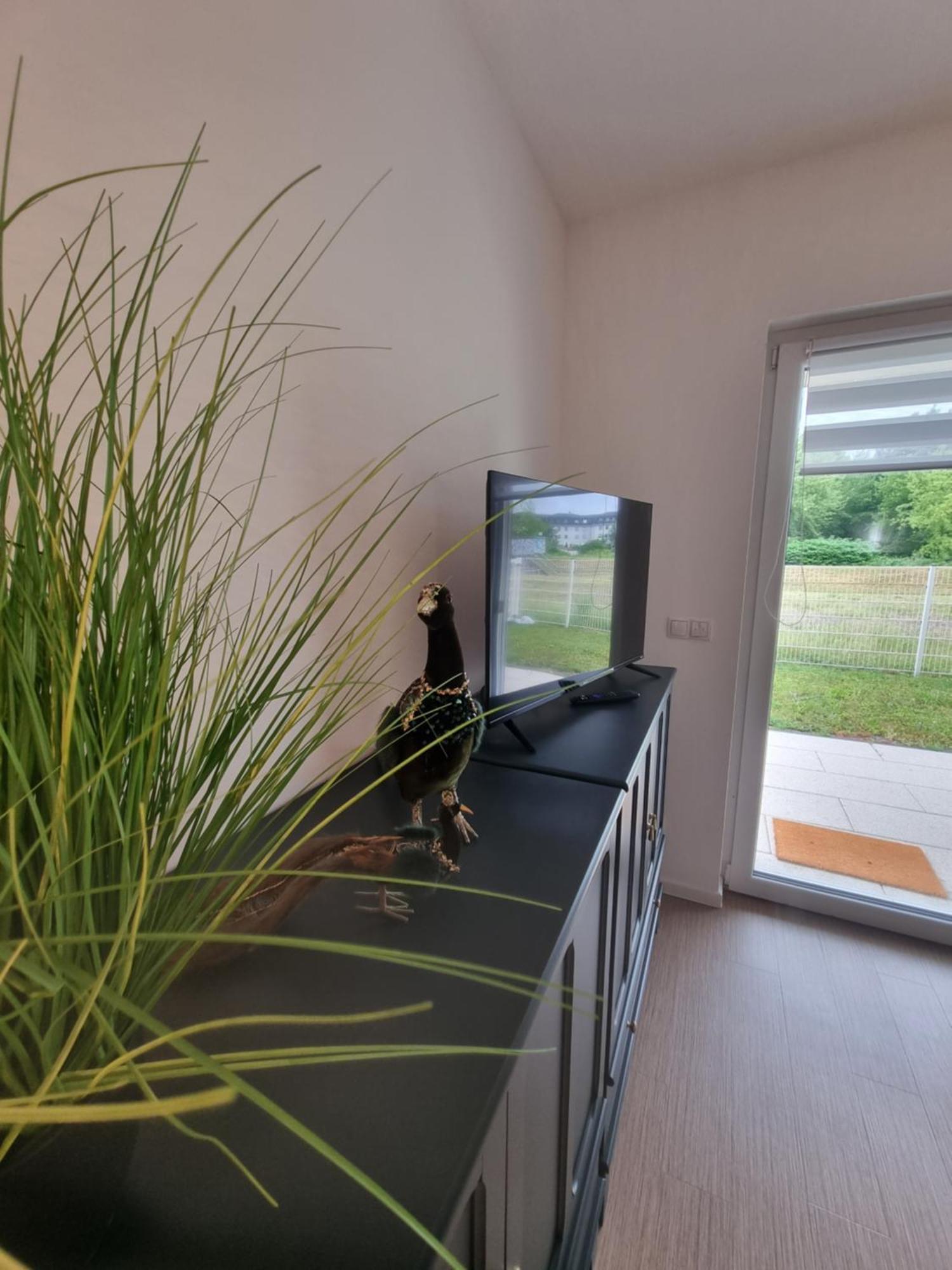Ferienwohnung Im Palais Am See Am Goitzschesee Bitterfeld-Wolfen Habitación foto